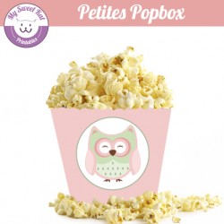 hibou - chouette- Petite popbox