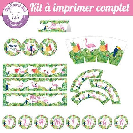 Tropical flamingo - Kit complet