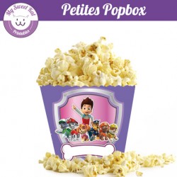 Pat patrouille fille - Petite popbox