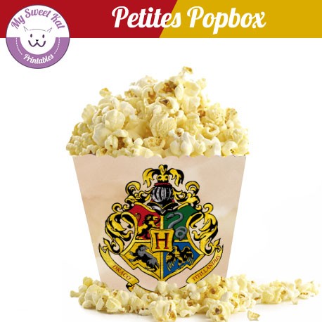Harry potter - Petite popbox